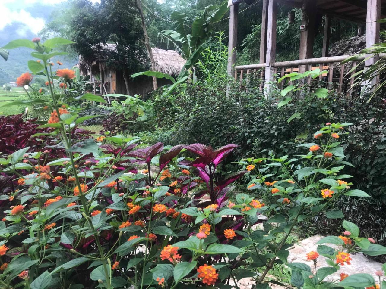 Little Mai Chau Home Stay Exterior foto